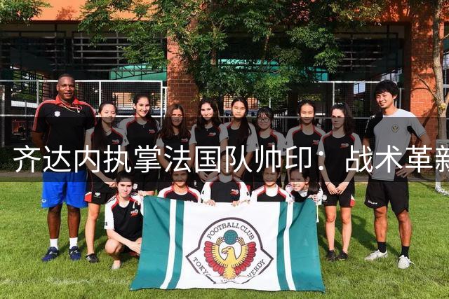 齐达内执掌法国队帅印：战术革新与足球精神的重塑